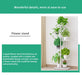 Metal Plant Stand — 4/6/8-Tier Flower Pot Rack, White or Dark Grey