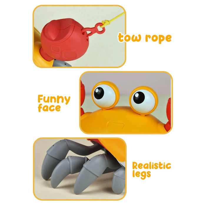 Children's Clockwork Crab and Octopus Bath Toys