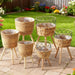 Floor‑standing Rattan Plant Stand with Wooden Legs — Indoor Pothos Holder