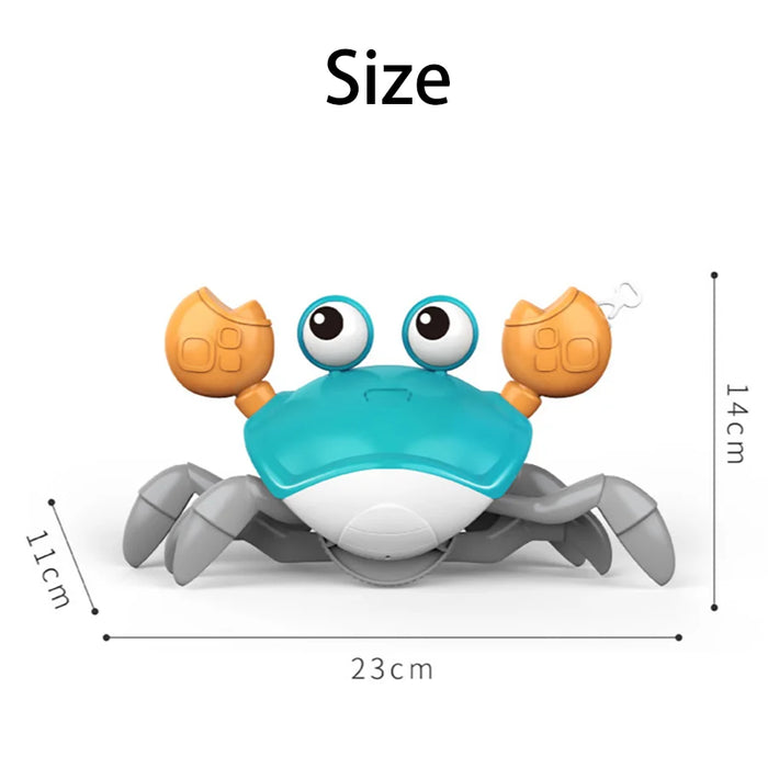 Children's Clockwork Crab and Octopus Bath Toys