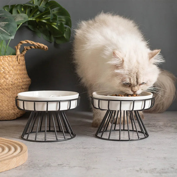 Elevated Ceramic Slow Feeder Bowl — Anti‑Choking Maze with Iron Stand