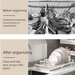 Extendable Dish Drying Rack — Space-saving Large Capacity Utensil & Dinnerware Organiser