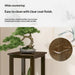 Multi-Tier Indoor Floor Plant Stand – Solid Wood Succulent Display Rack