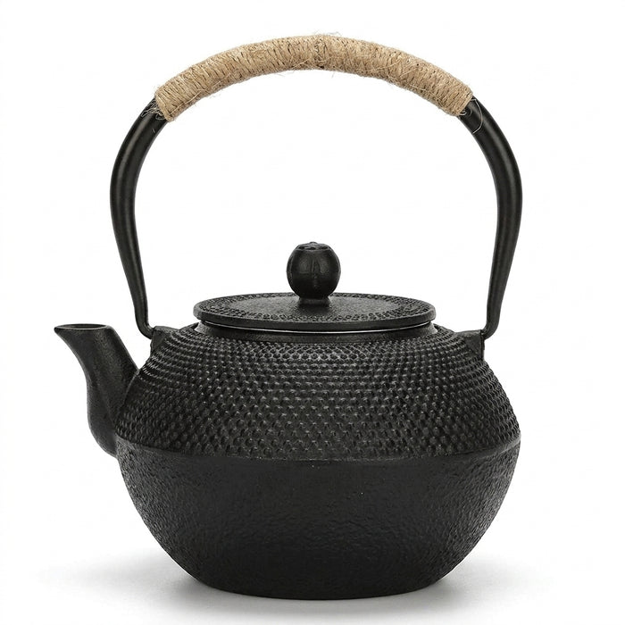 Cast Iron Teapot with Stainless Steel Mesh Filter — Induction Ready