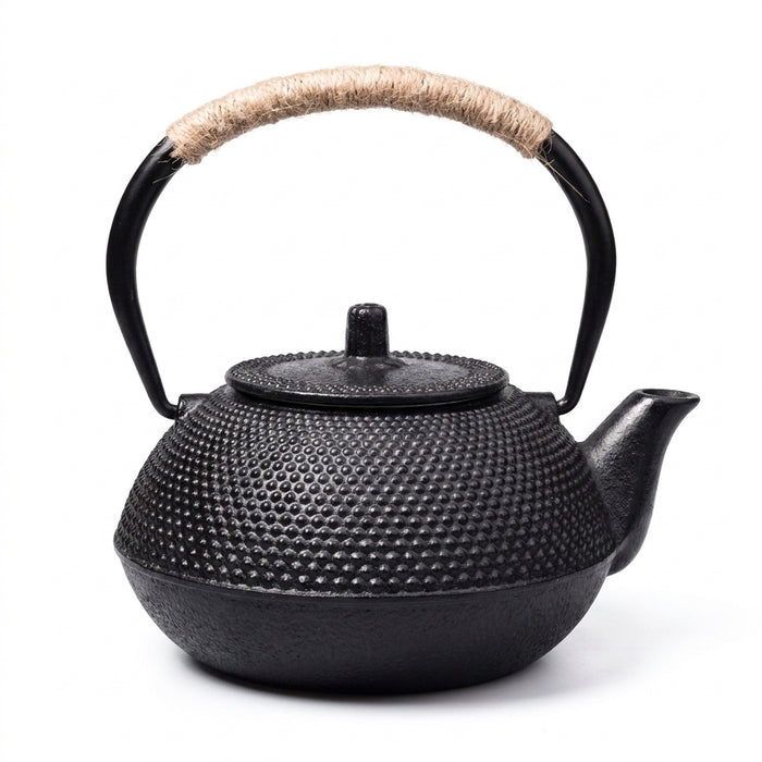 Cast Iron Teapot with Stainless Steel Mesh Filter — Induction Ready